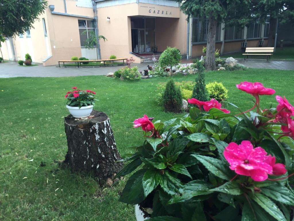 Bed and Breakfast Prenociste Gazela Pirot Zewnętrze zdjęcie