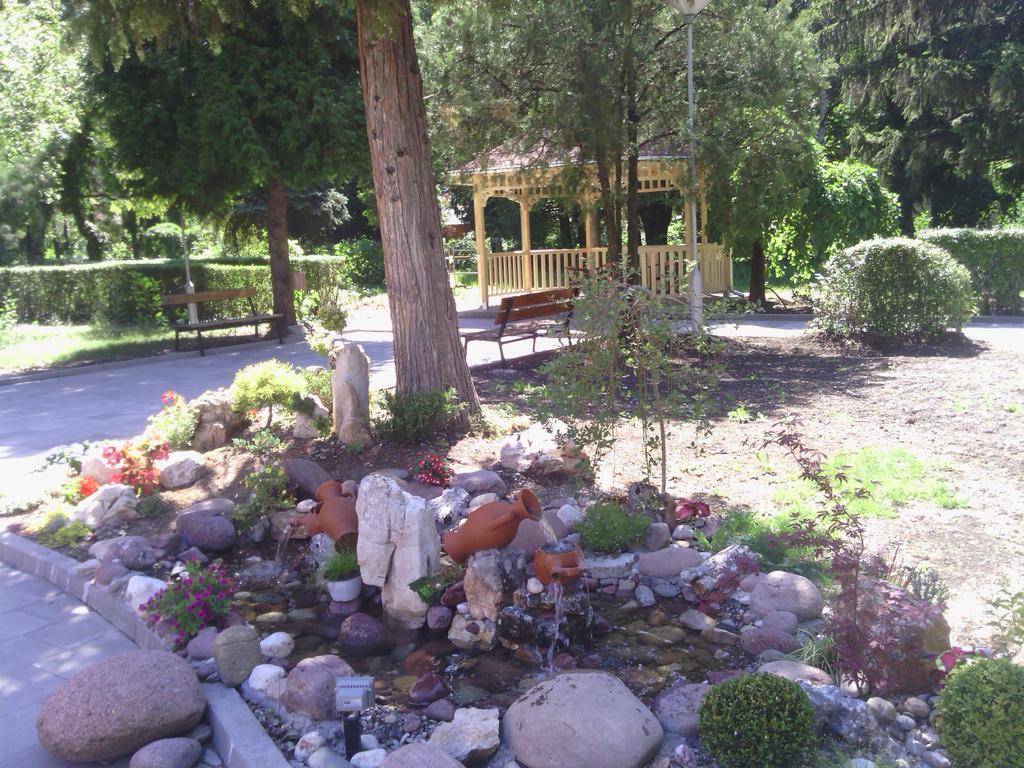 Bed and Breakfast Prenociste Gazela Pirot Zewnętrze zdjęcie