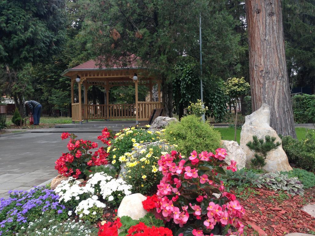 Bed and Breakfast Prenociste Gazela Pirot Zewnętrze zdjęcie