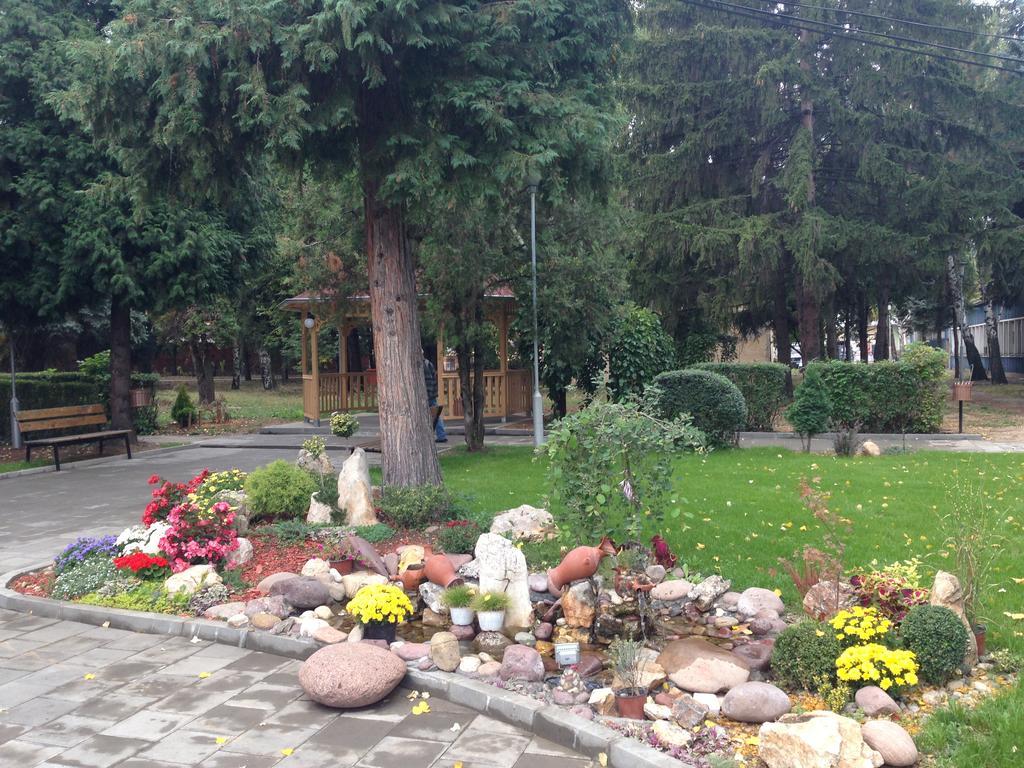 Bed and Breakfast Prenociste Gazela Pirot Zewnętrze zdjęcie